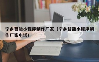 瑞安宁乡智能小程序制作厂家（宁乡智能小程序制作厂家电话）