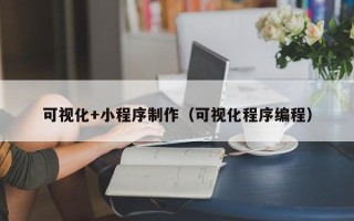 瑞安可视化+小程序制作（可视化程序编程）